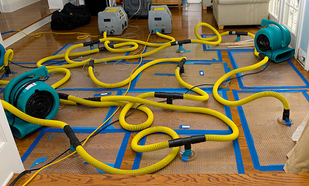 Professional Water Damage Repair technician working in Vestaburg, MI